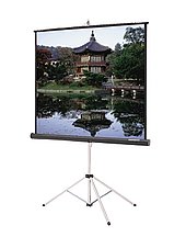 Tripod Screen